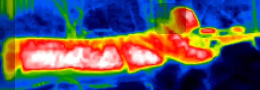 Изображение в тепловизоре